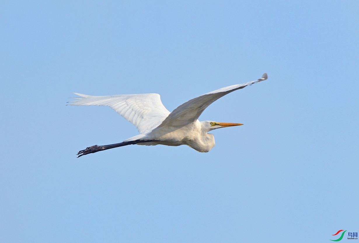 DSC_0235.jpg