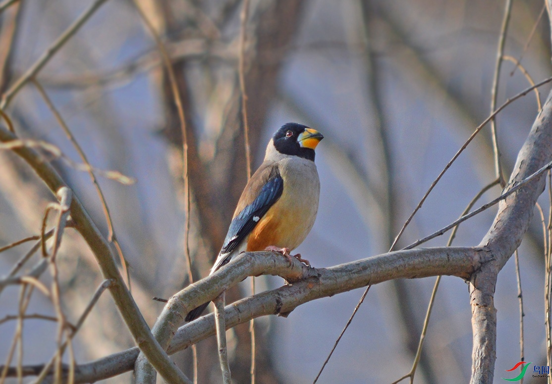 DSC_0124.jpg