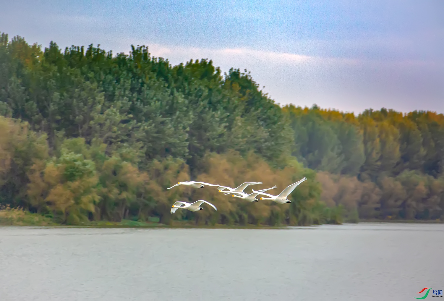 _95A3682.jpg