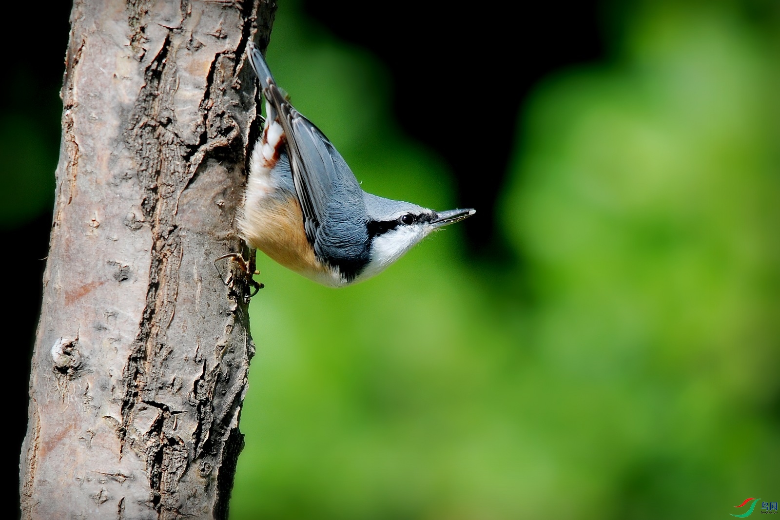 DSC_3927.JPG