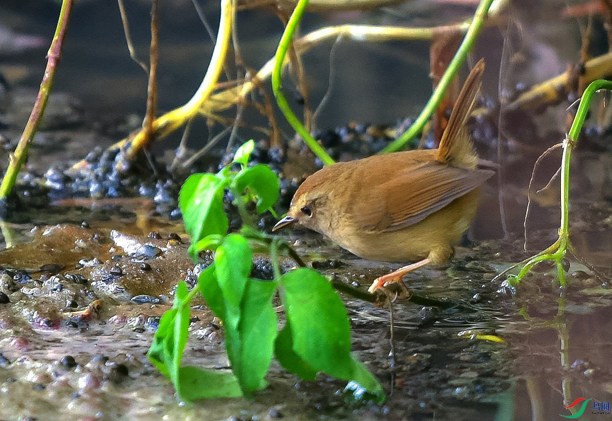 DSC_8778.JPG