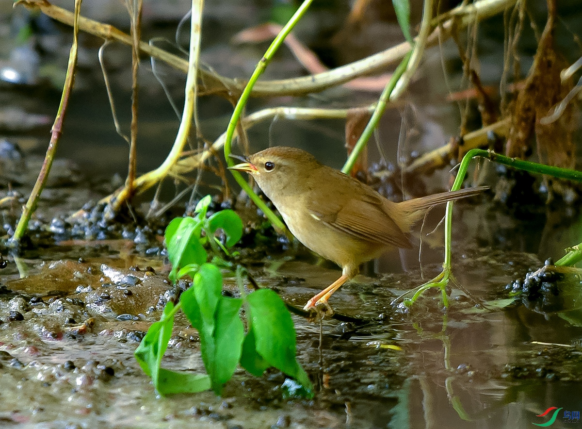 DSC_8781.JPG