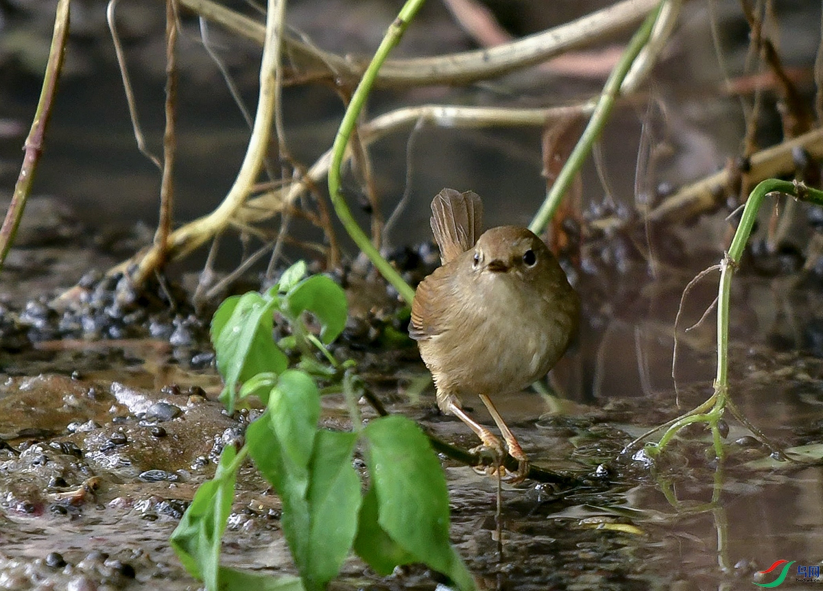 DSC_8789.JPG