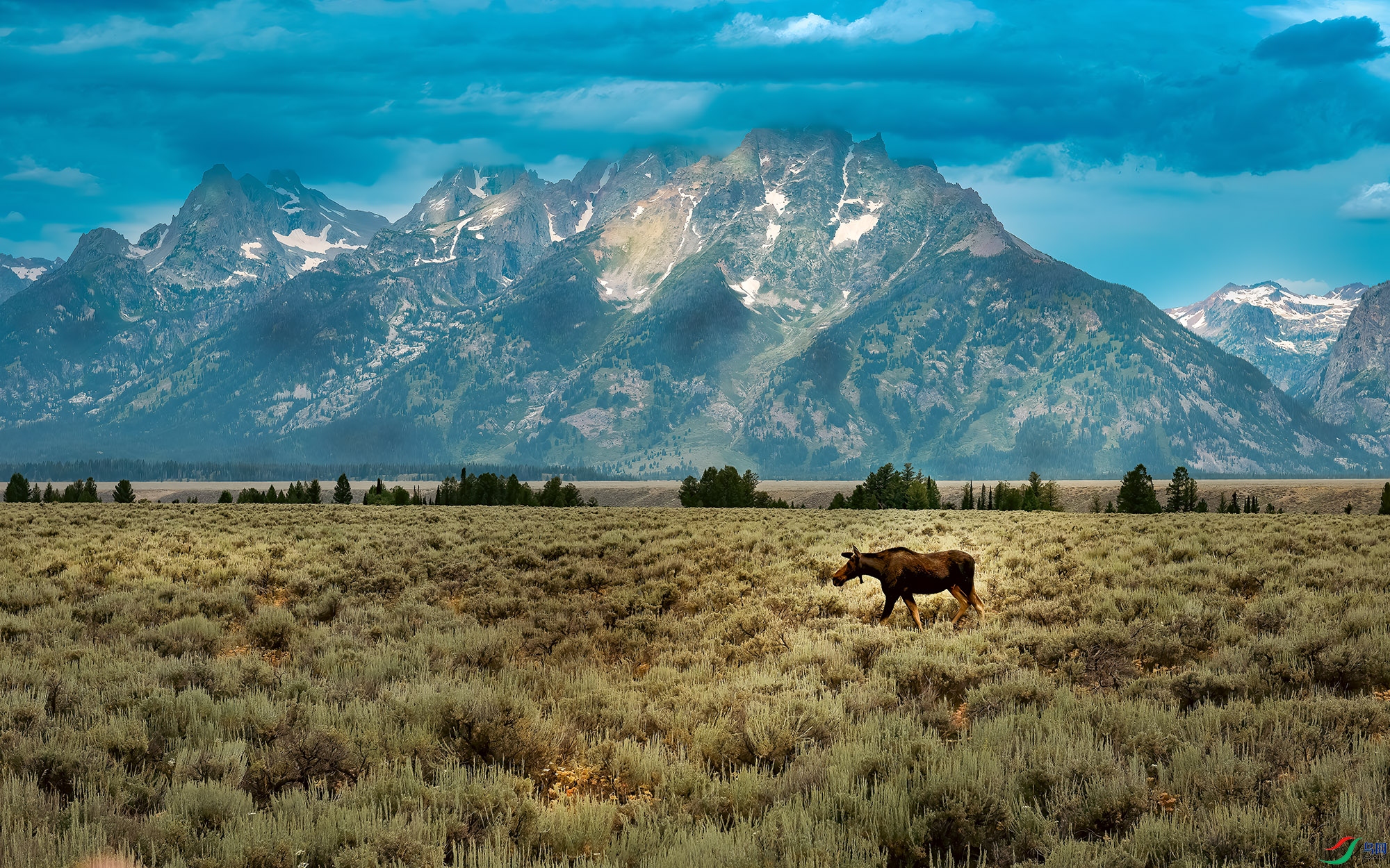 8LG_9897 ���� L.jpg