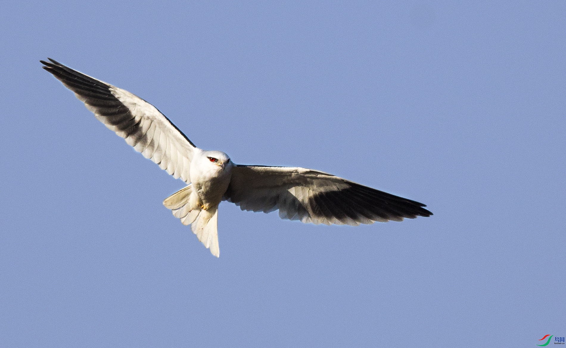 _DSC9853.JPG