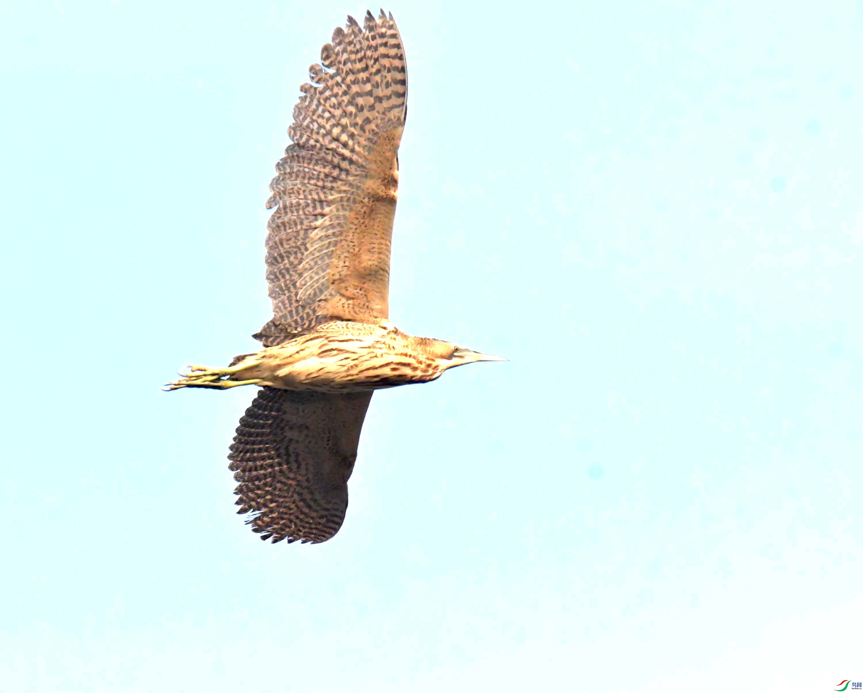 DSC_0175.JPG