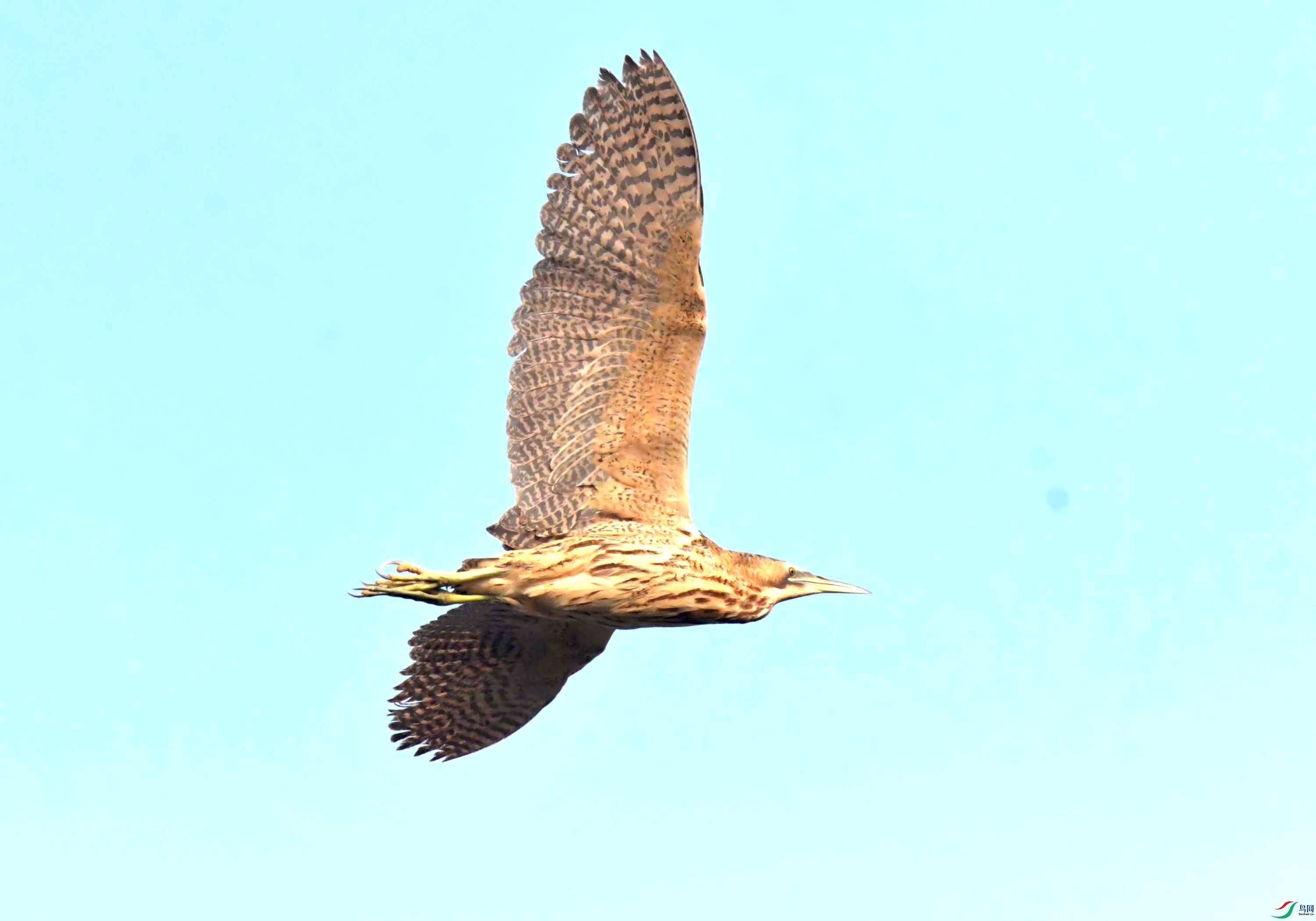 DSC_0177.JPG