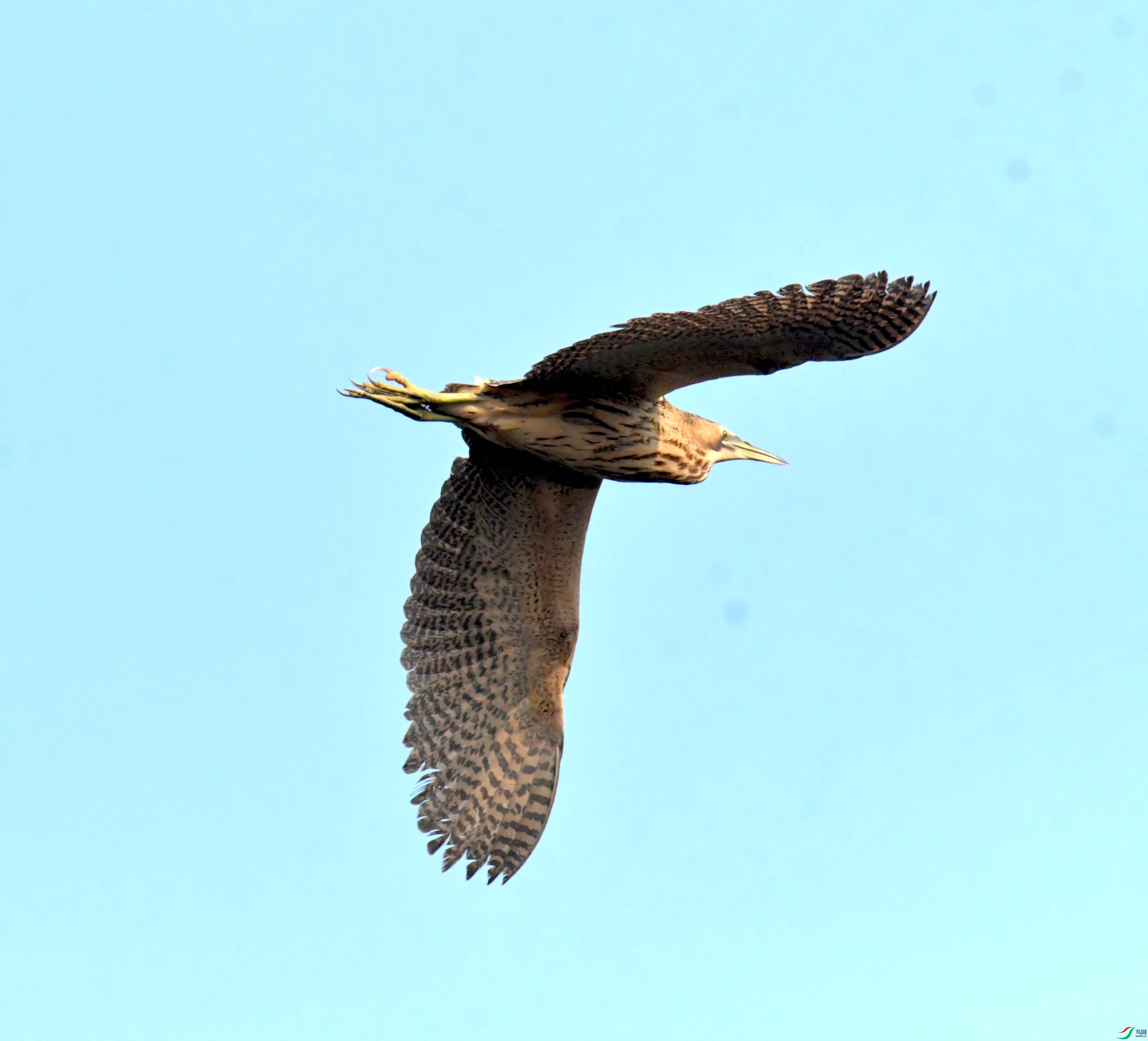 DSC_0178.JPG