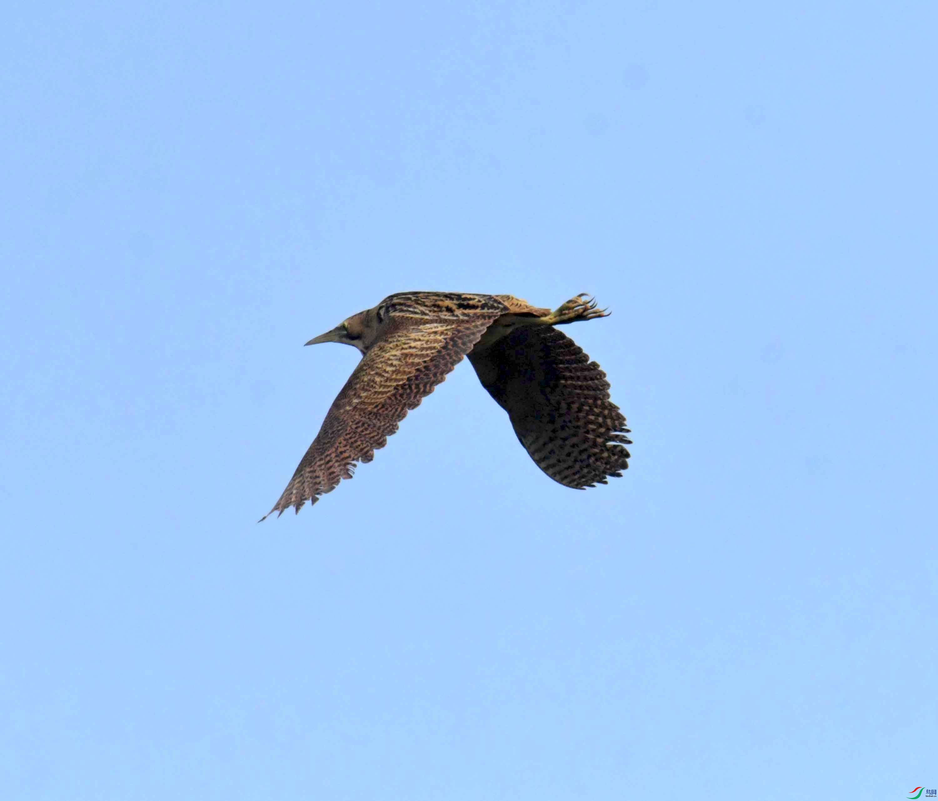 DSC_0192.JPG