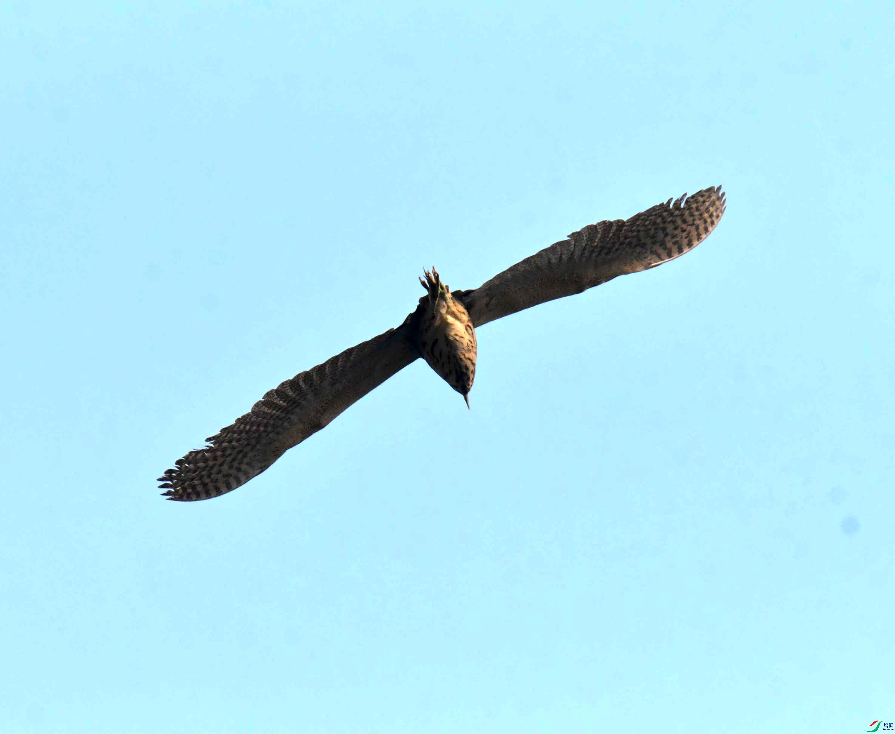 DSC_0183.JPG