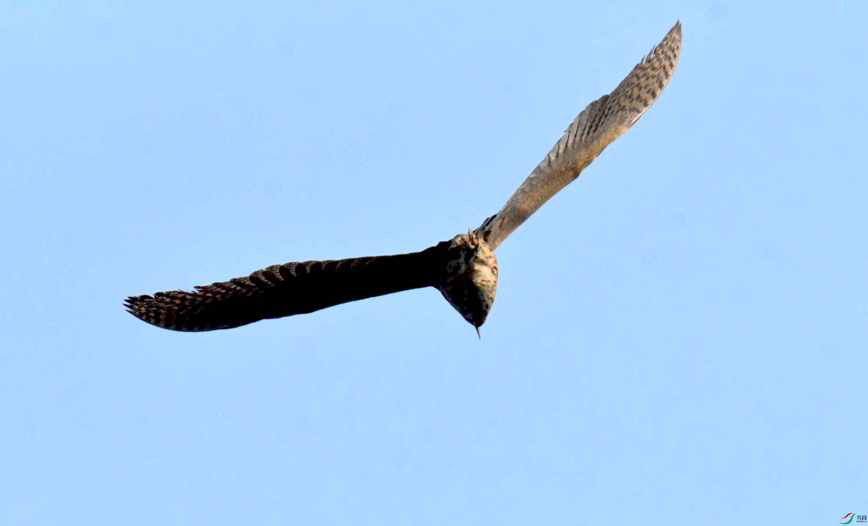 DSC_0185.JPG
