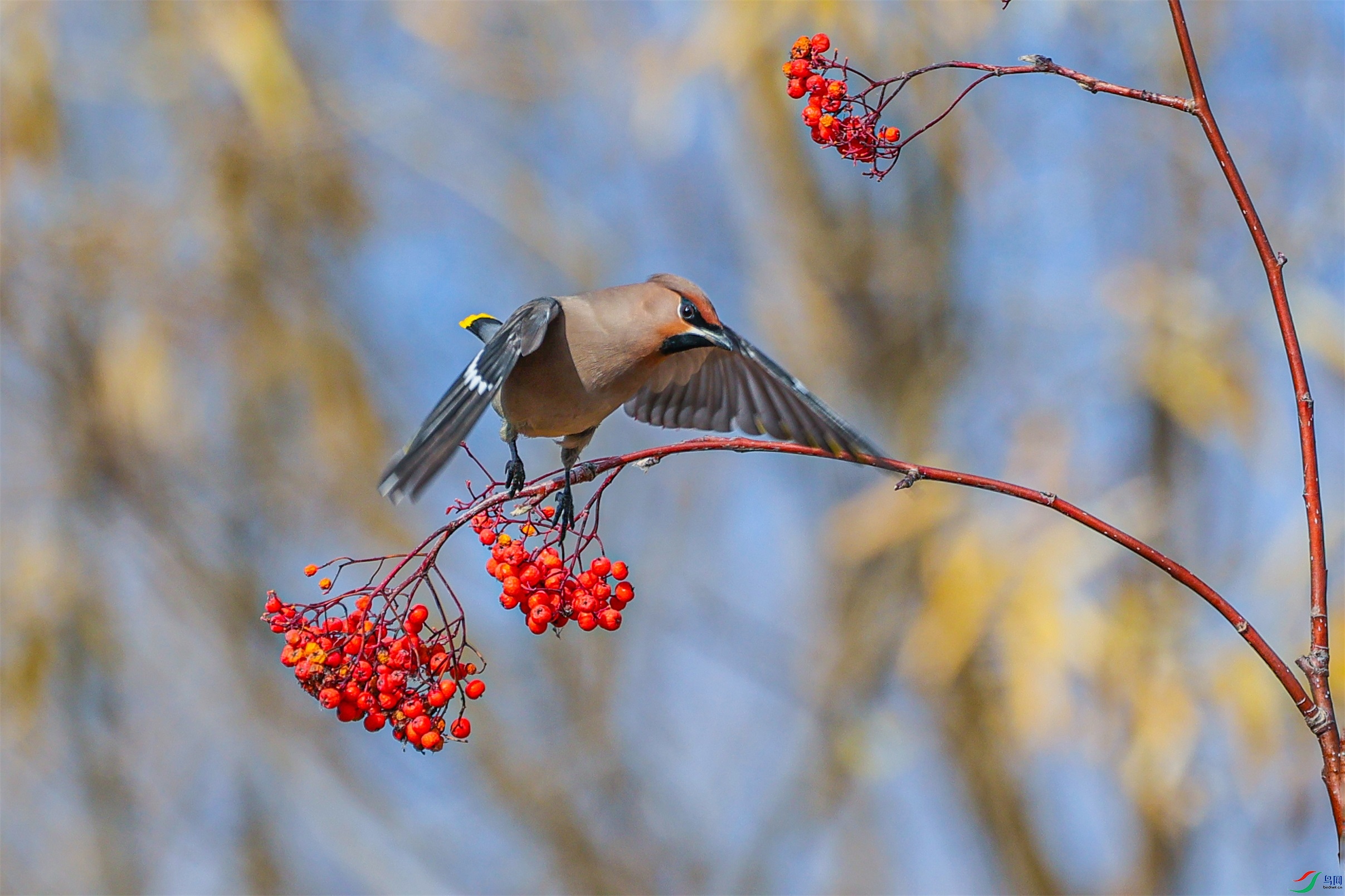 1K3A7710 ����1.jpg