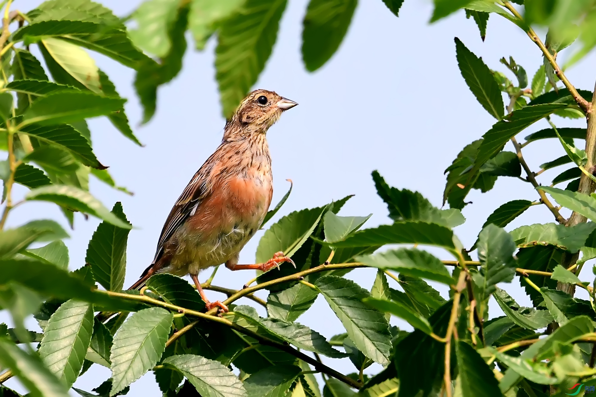 DSC_4274.jpg