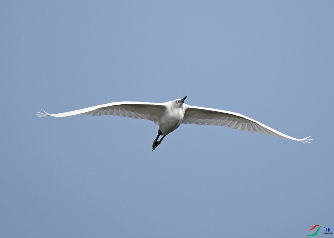DSC_0363.jpg
