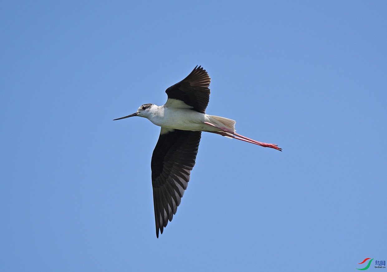 DSC_1450.jpg