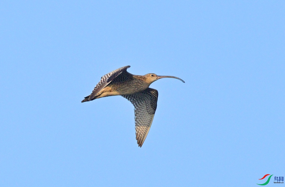 DSC_001722.jpg