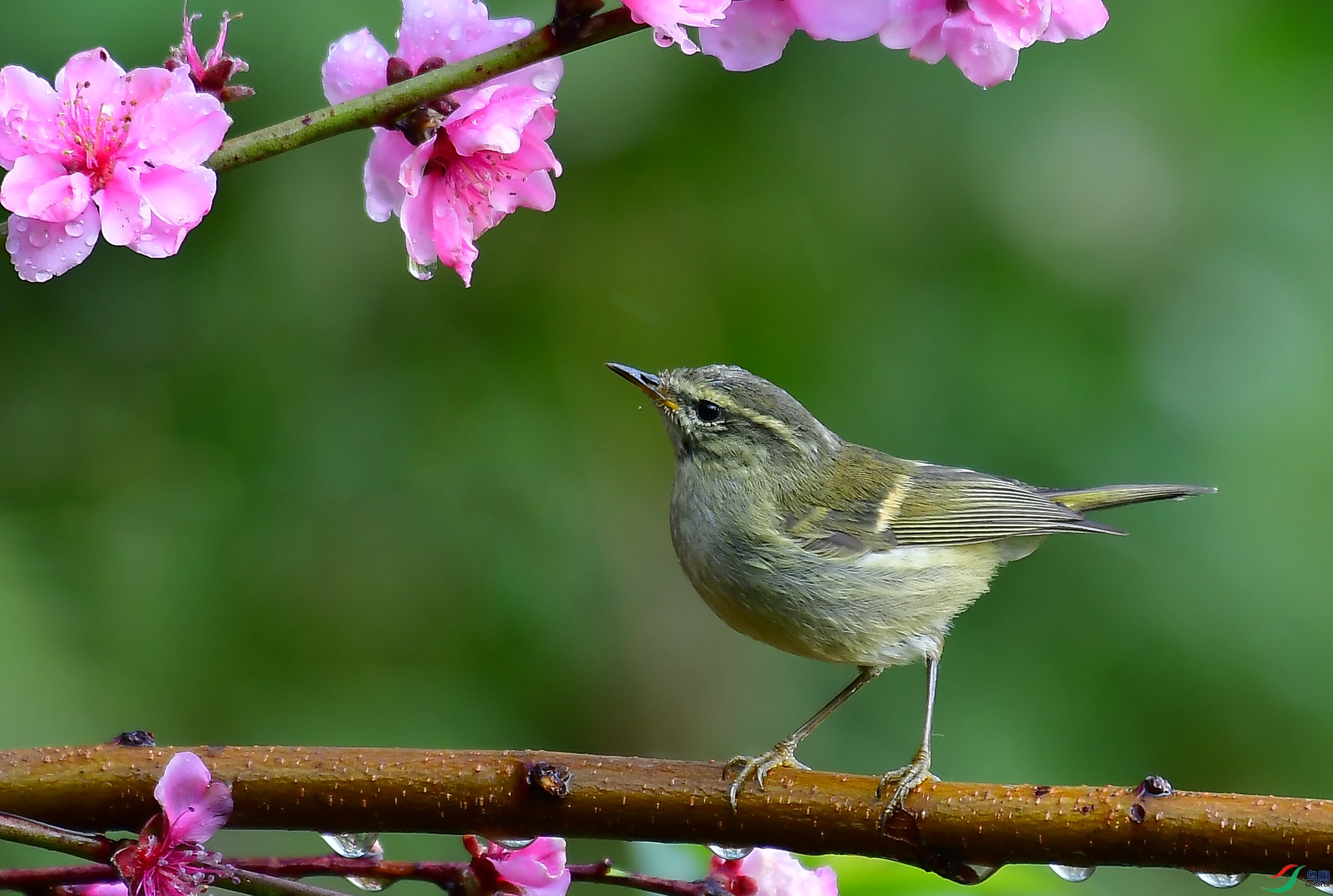 DSC_6426.jpg