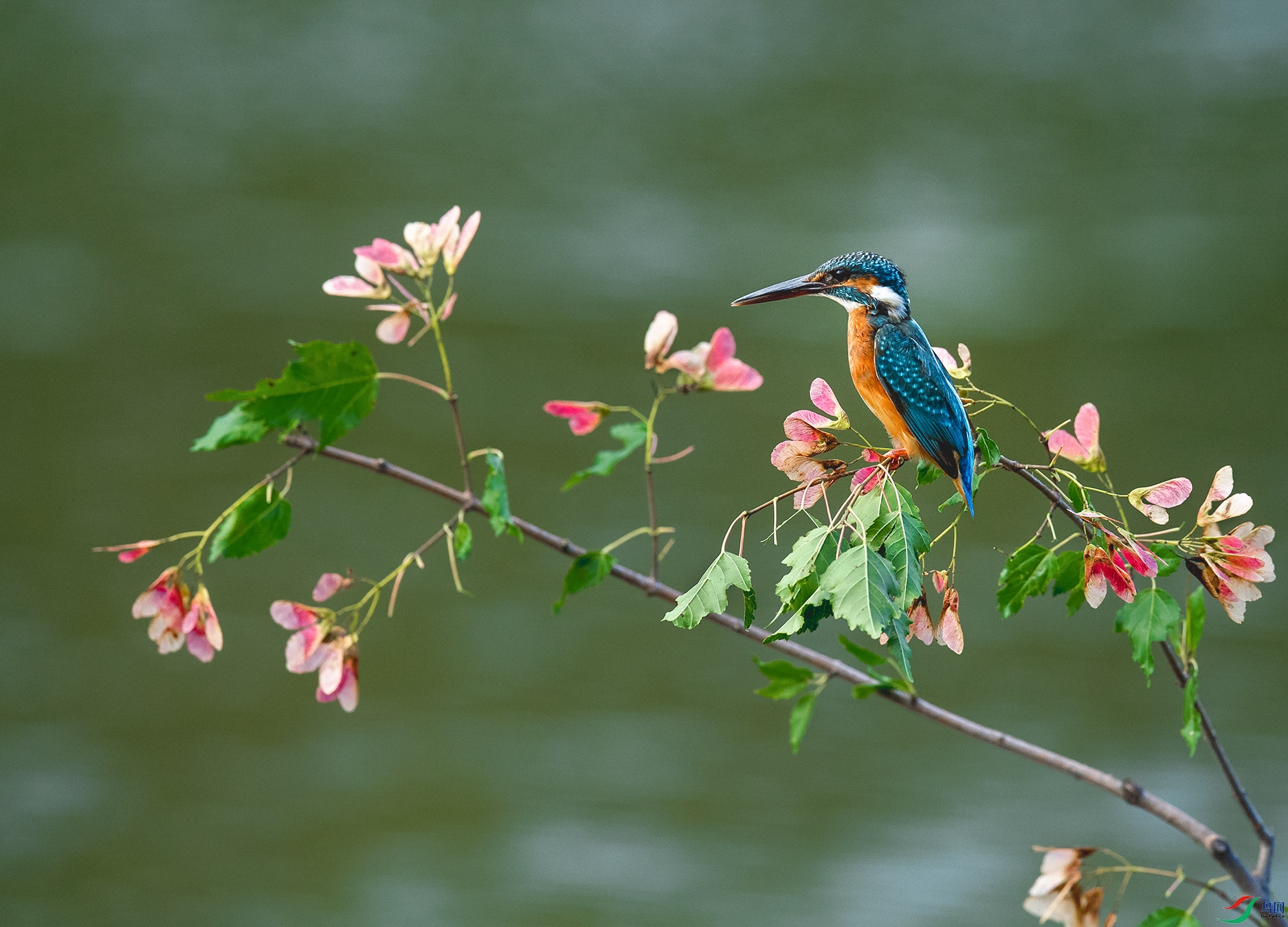 DSC_1056.jpg