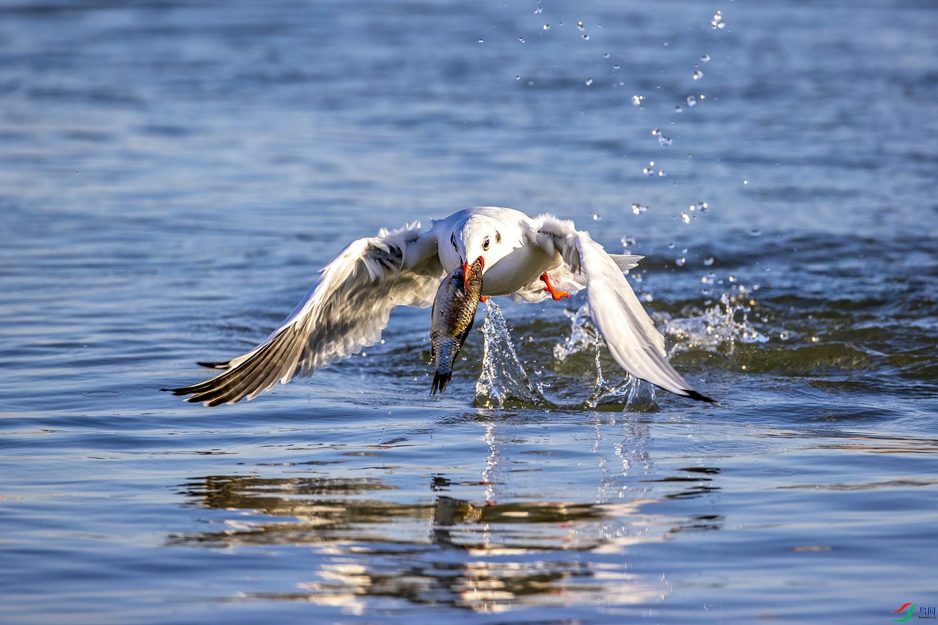 ��Ÿץ��081 -1.jpg