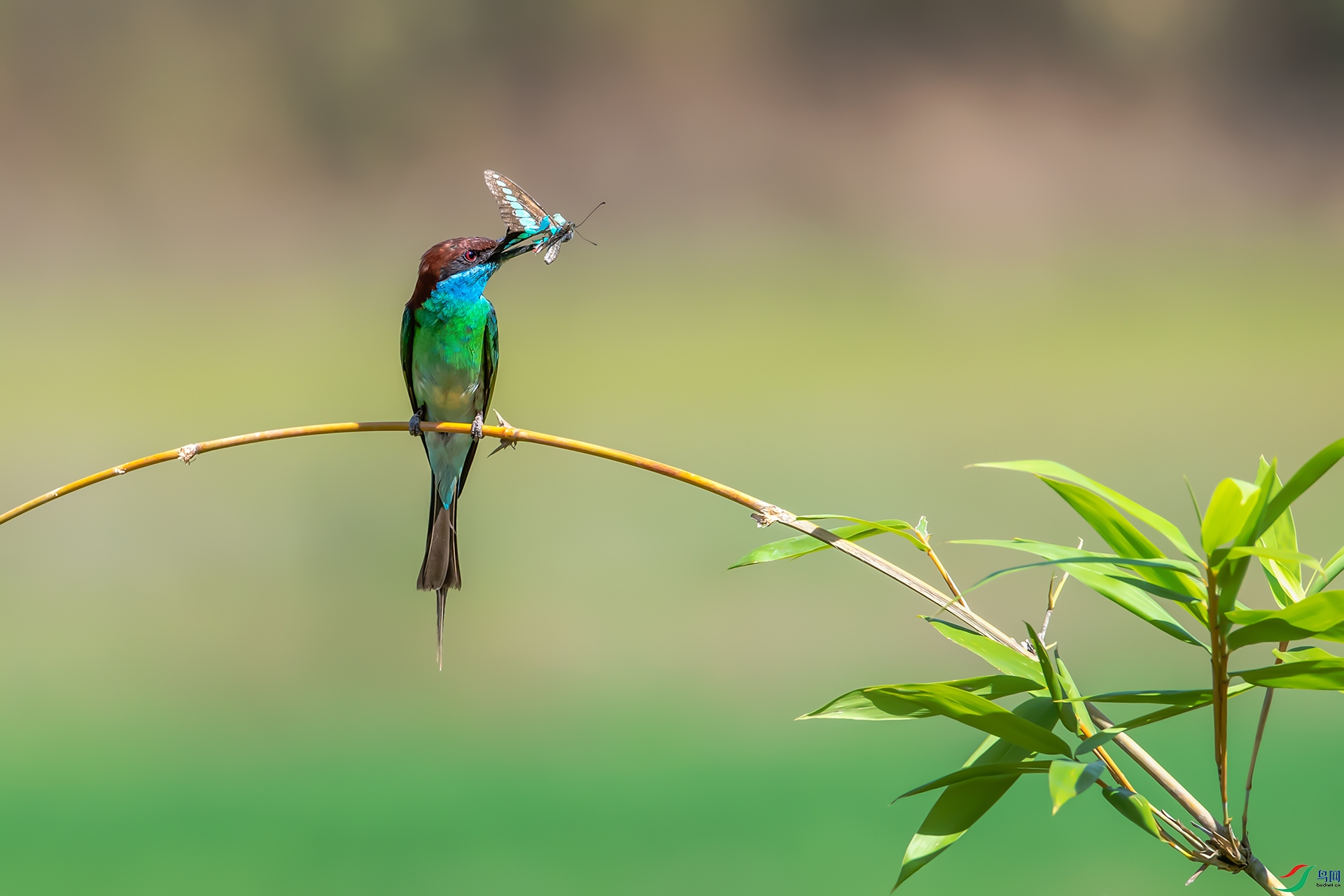 20221231�����仢Ϸ���� (3).jpg