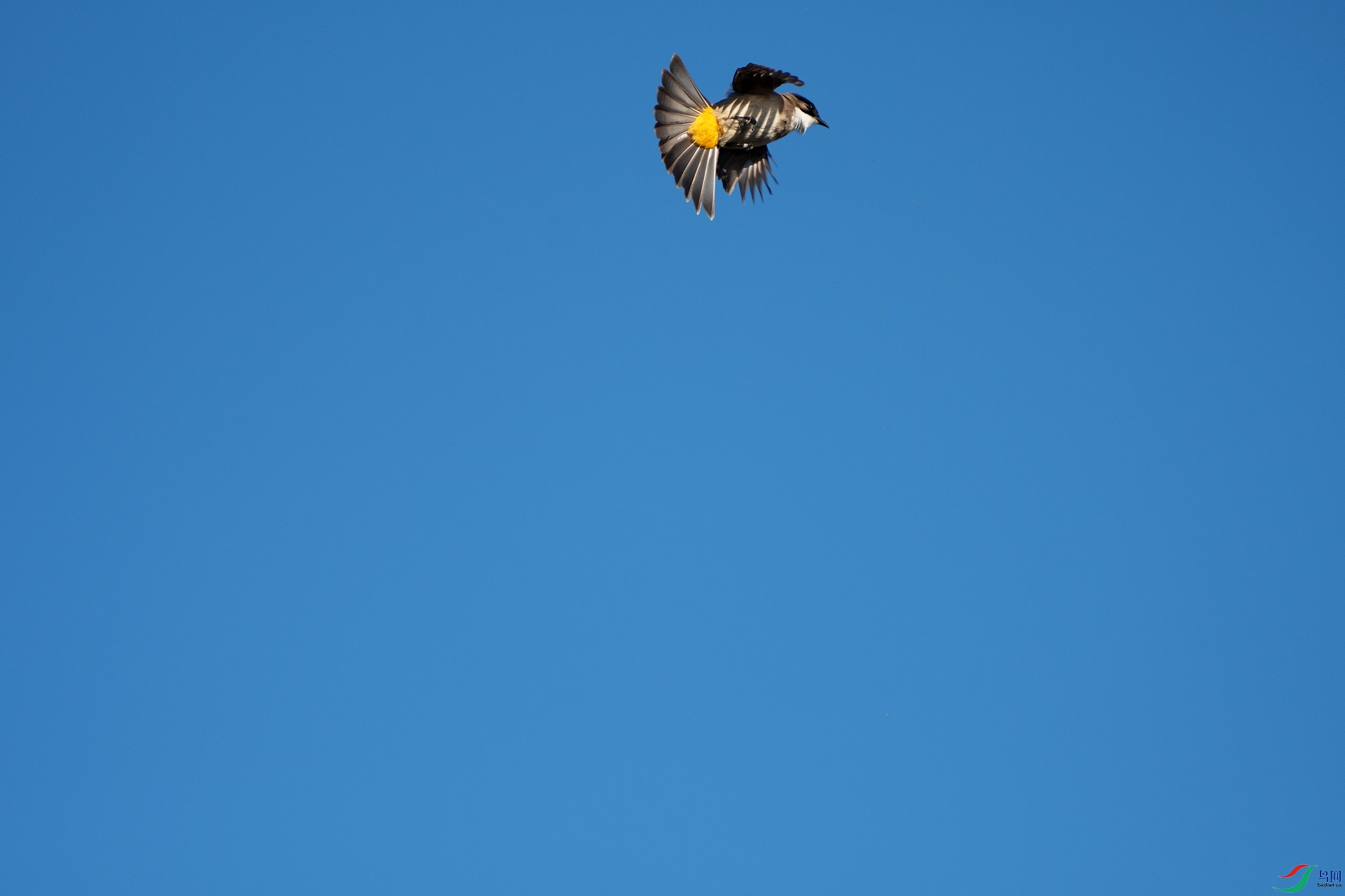 _DSC6379-12.jpg