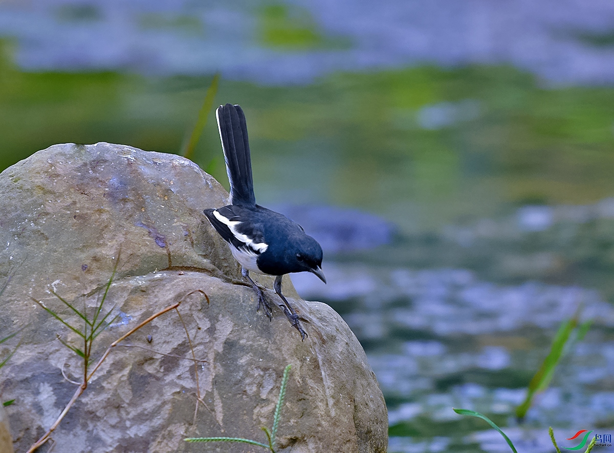 DSC_8844.JPG