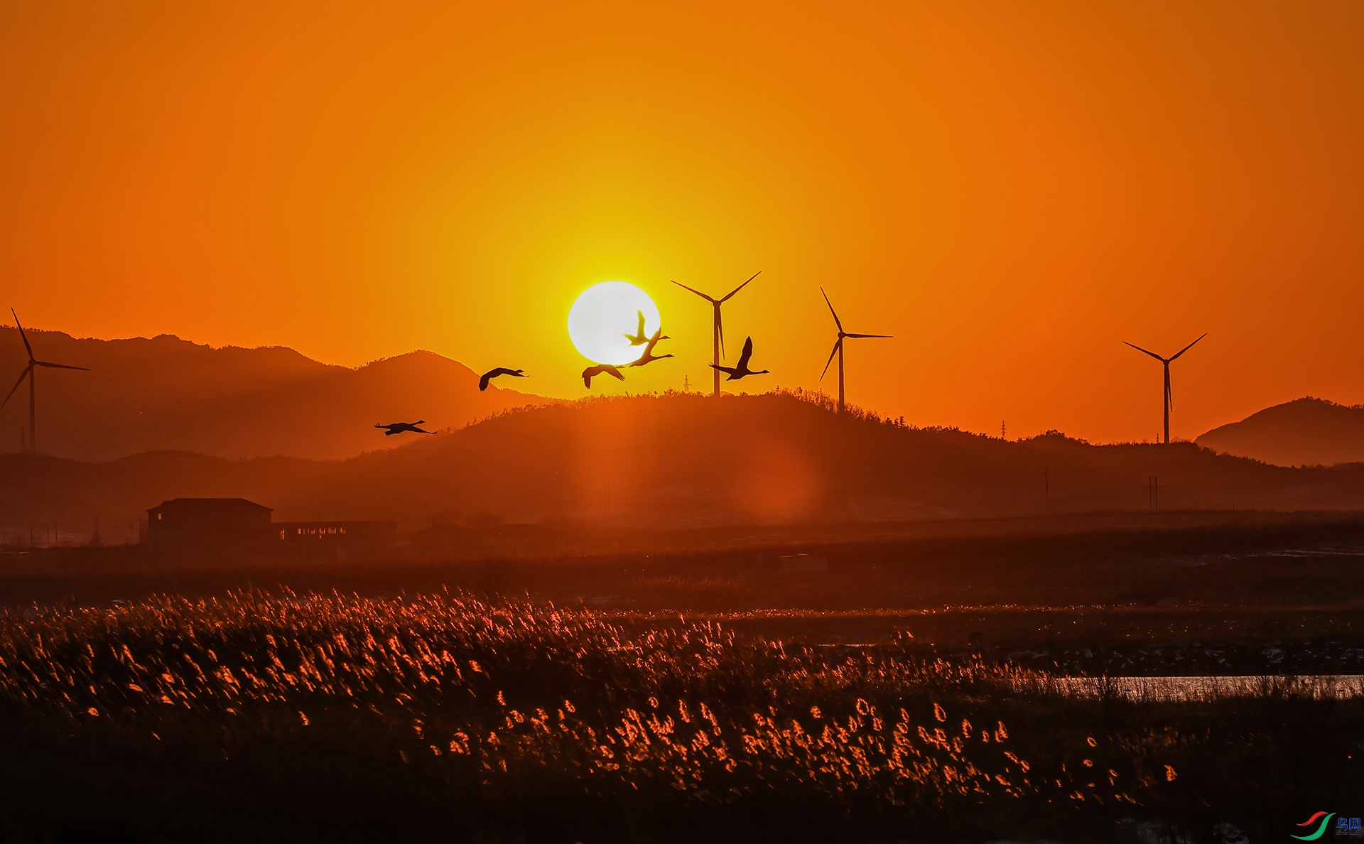 547A6355 ����.jpg