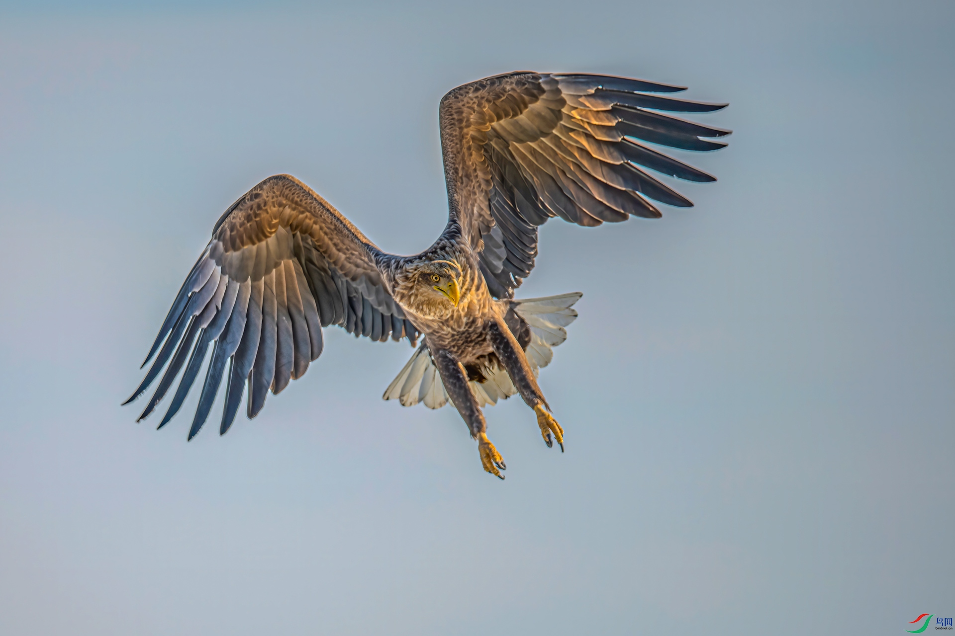 DSC_3809-a500k.jpg