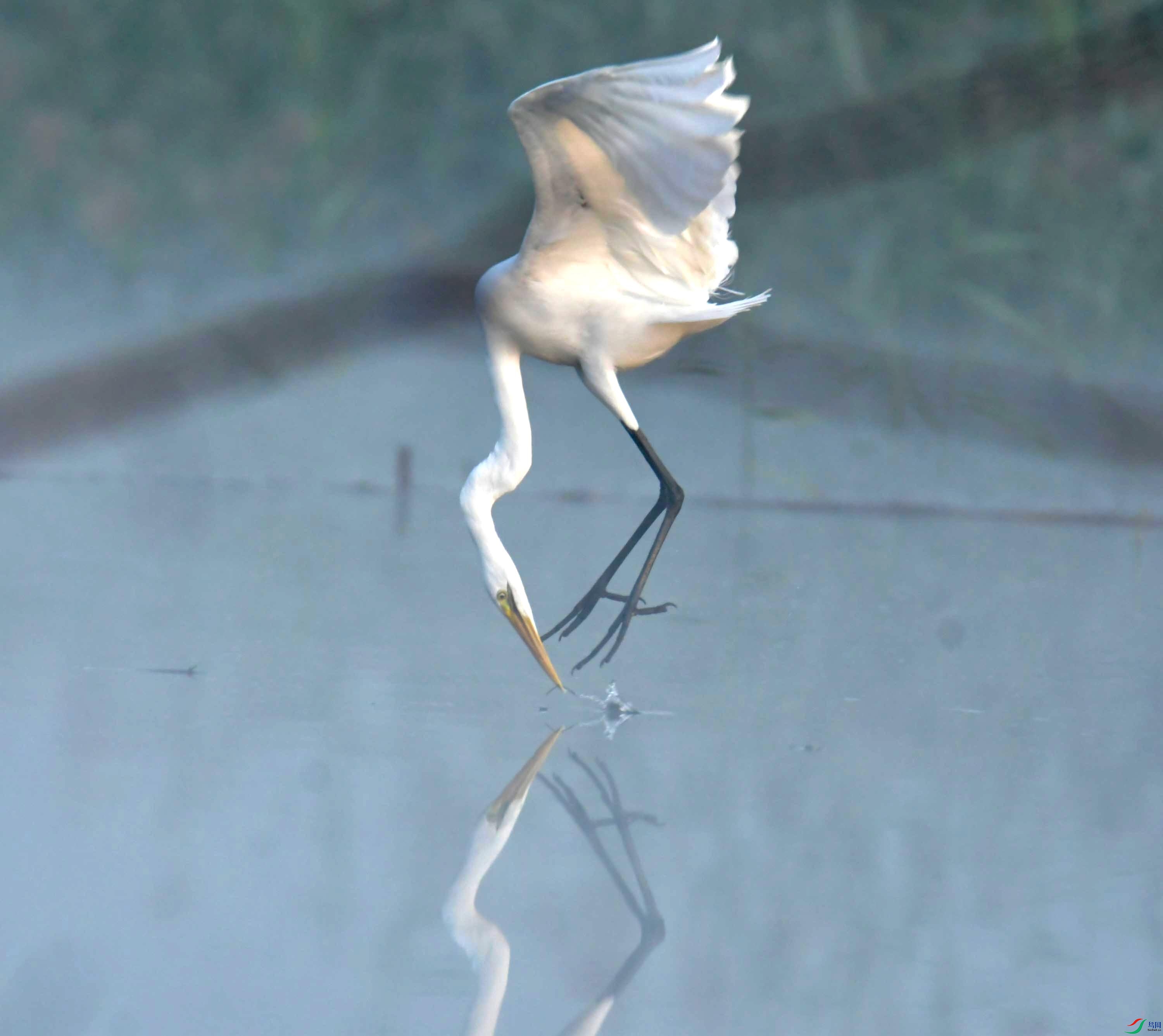 DSC_0588.JPG