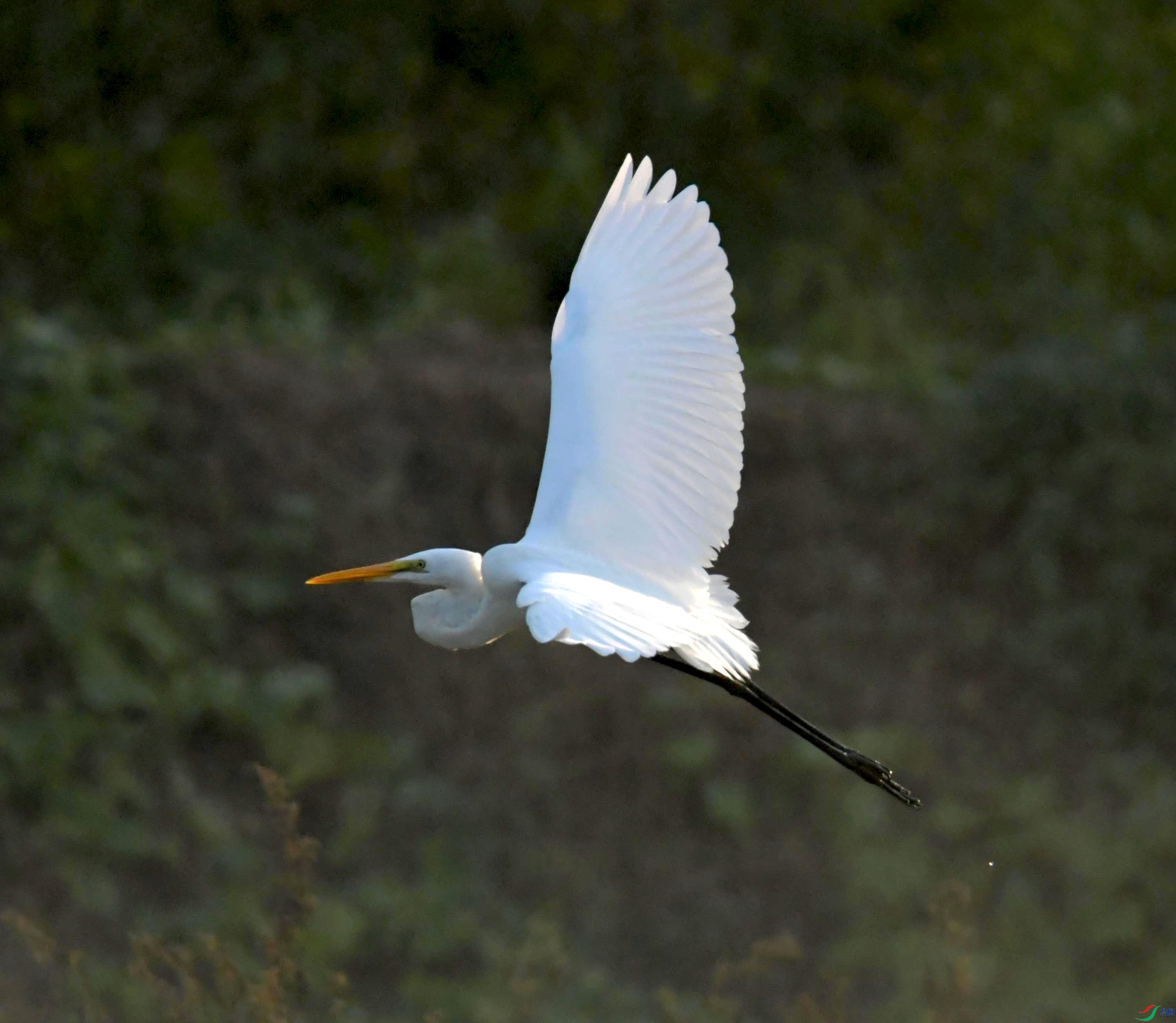 DSC_0686.JPG