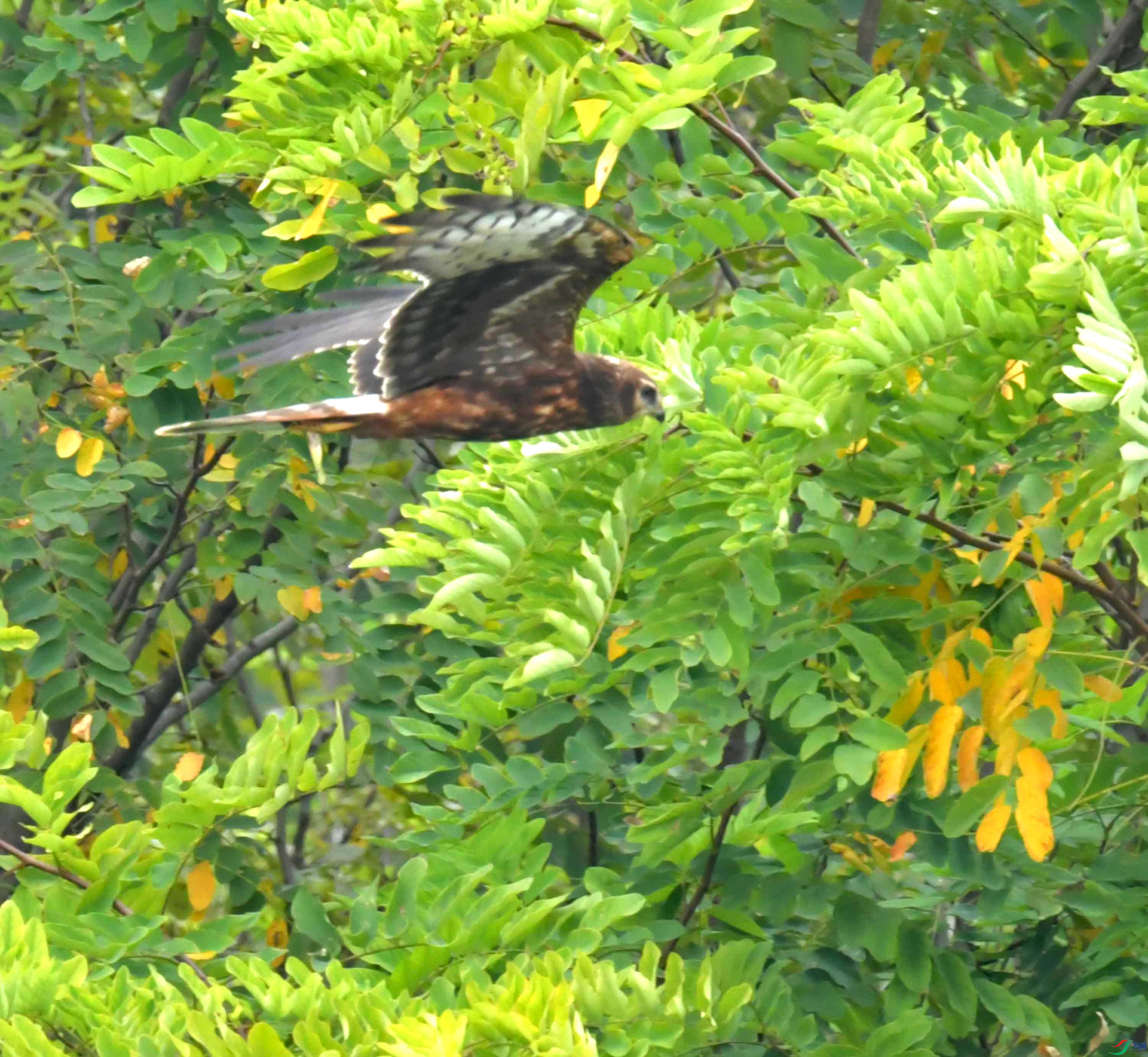 DSC_2836.JPG