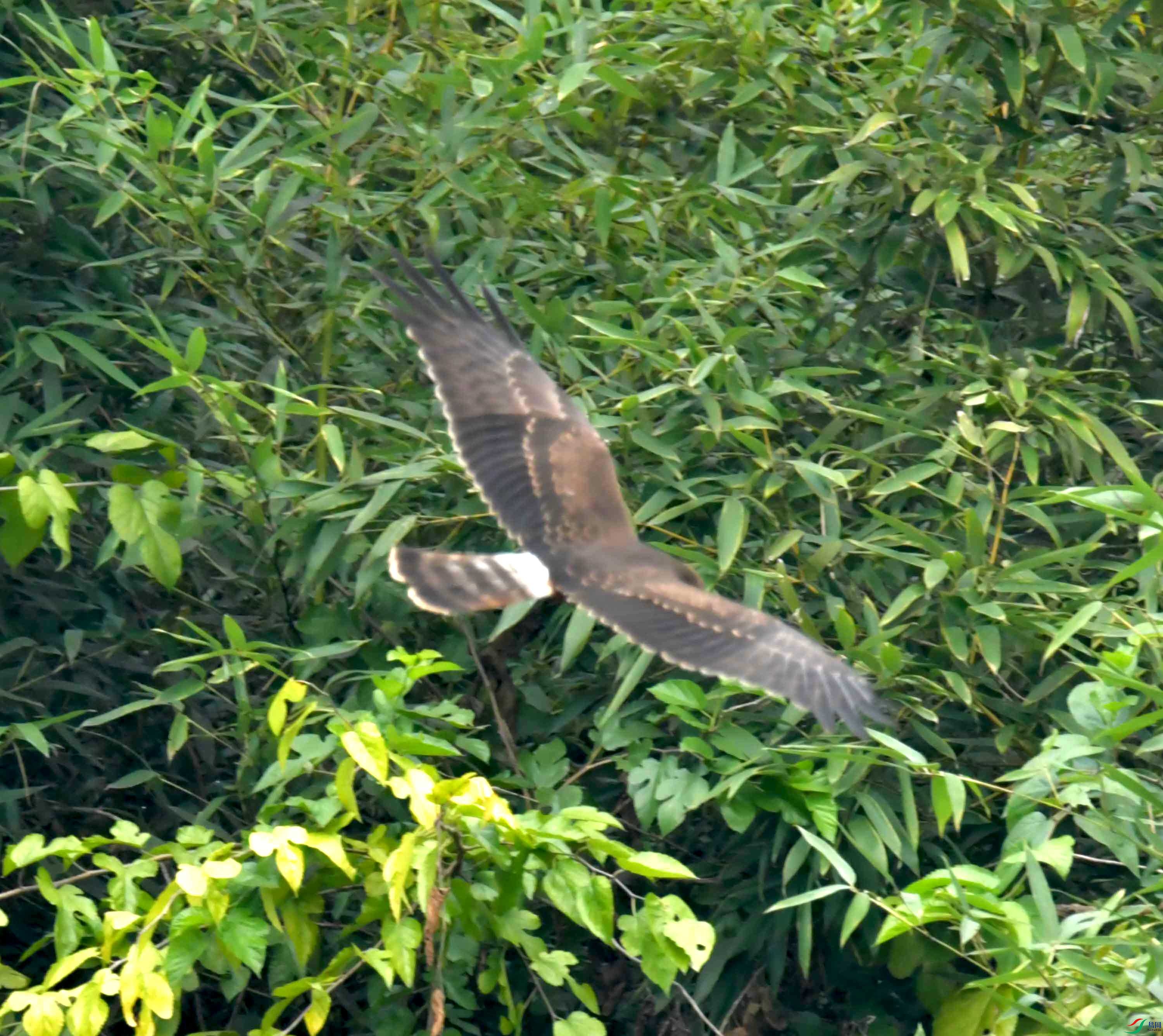 DSC_2862.JPG