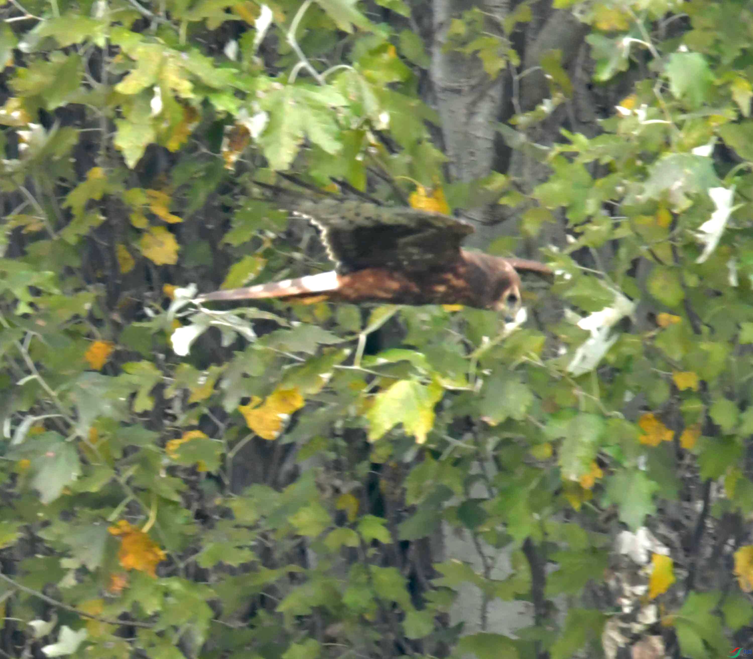 DSC_2843.JPG