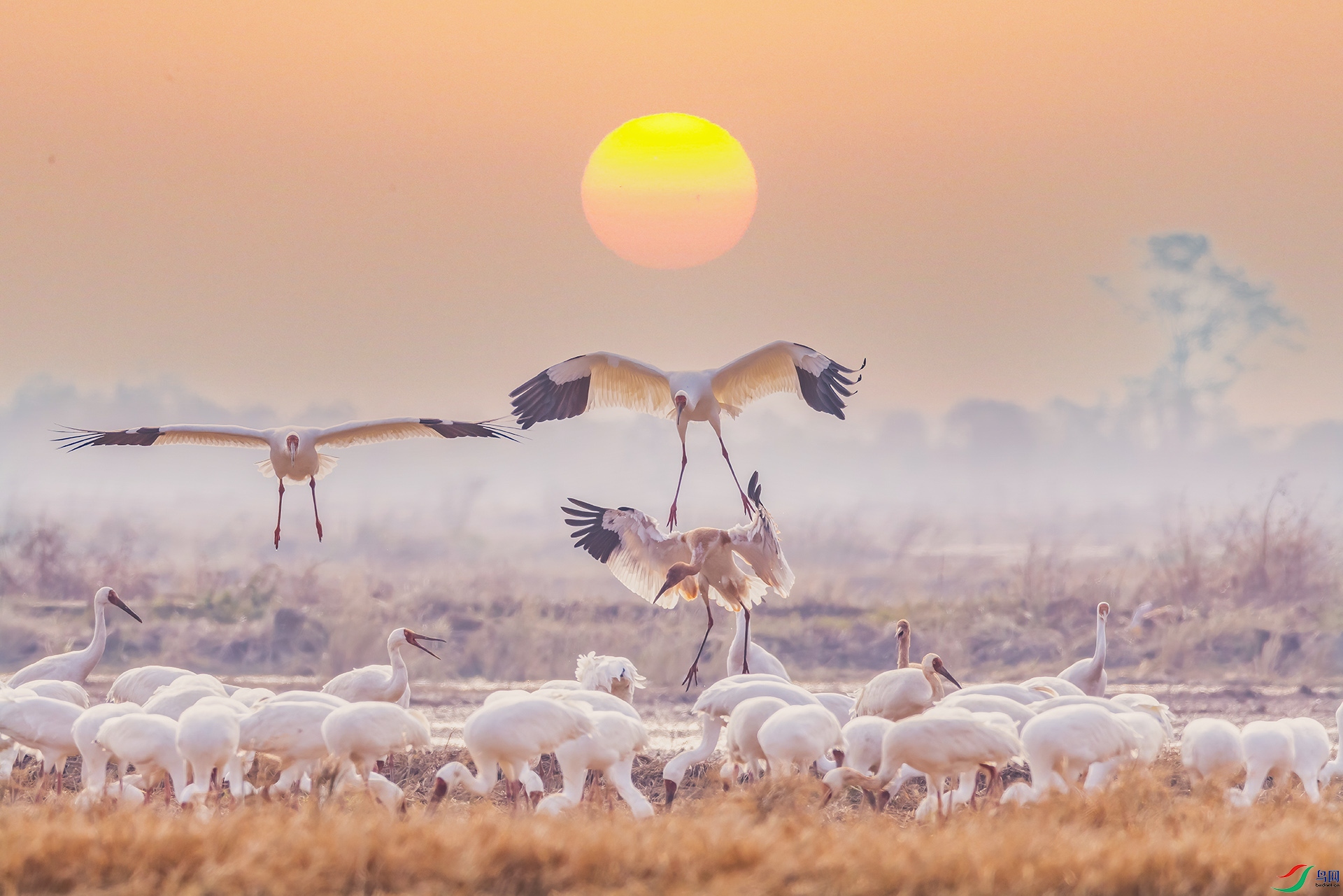 407A1346----0-D1 .jpg