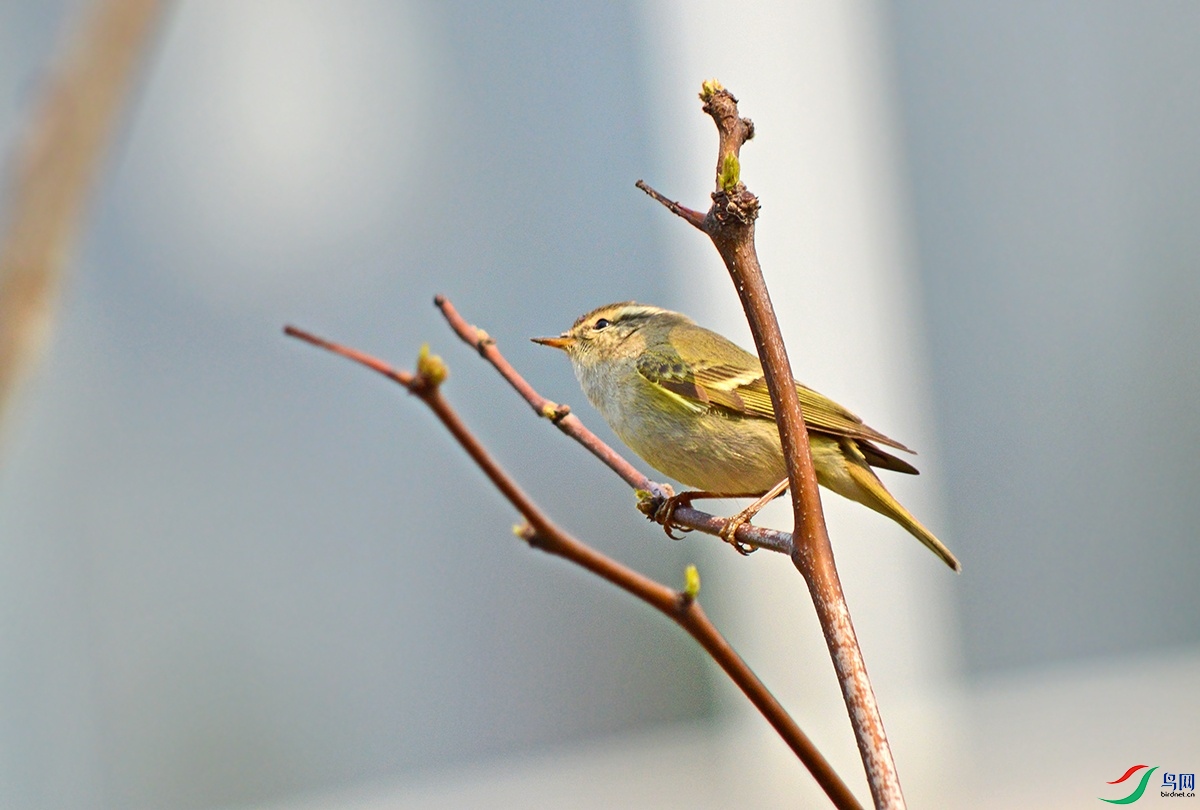 DSC_0360.jpg