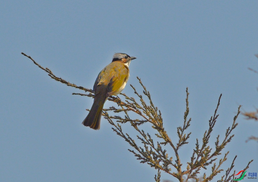 DSC_0364.jpg