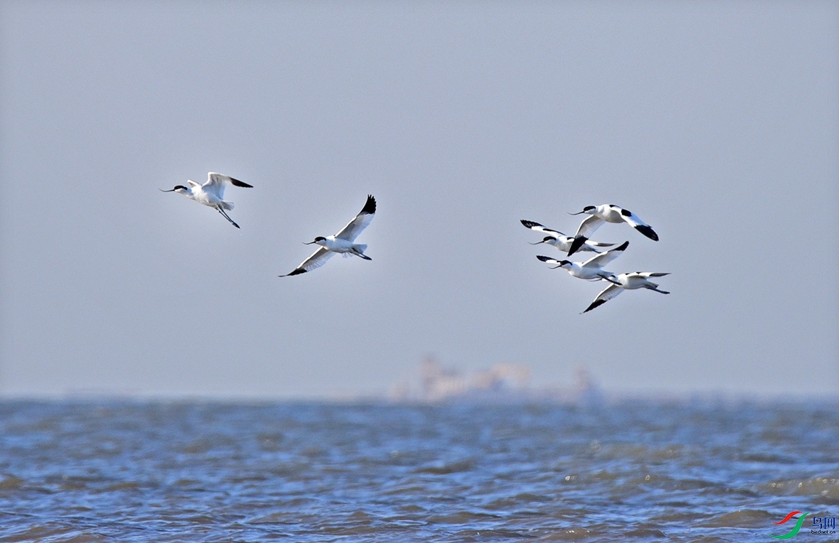 DSC_01593.jpg
