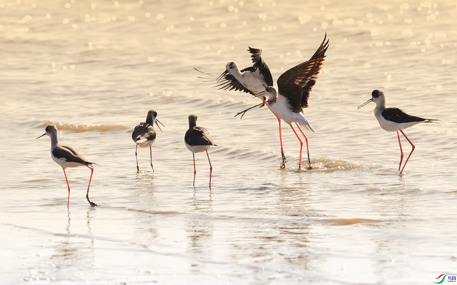 DSC_9070 ����.jpg