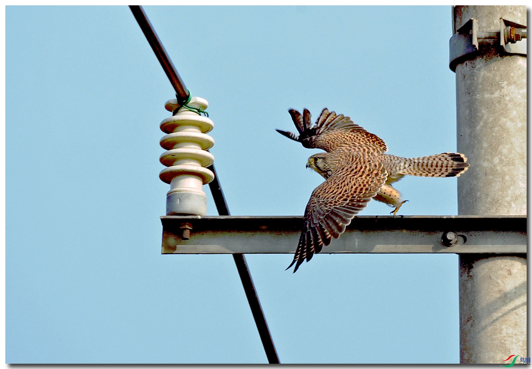 DSC_6182.jpg