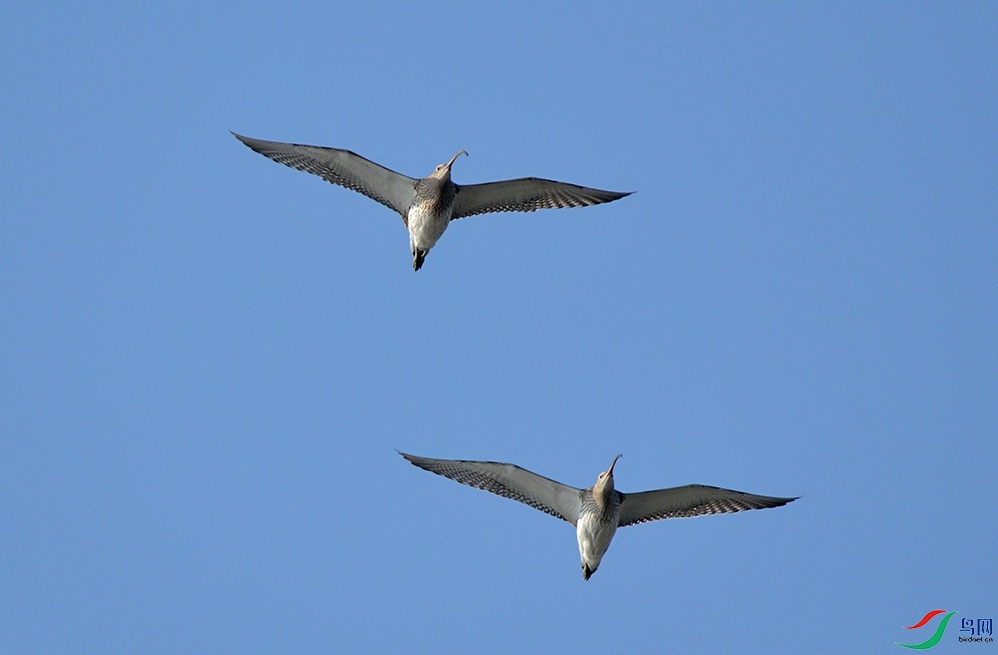 DSC_0200.jpg