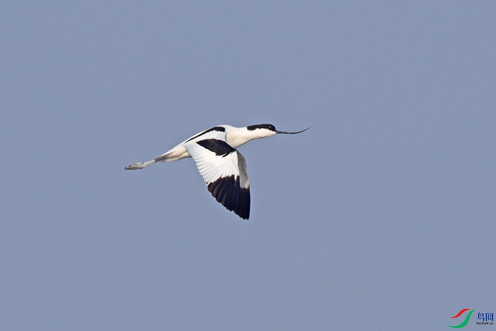 DSC_1557.jpg