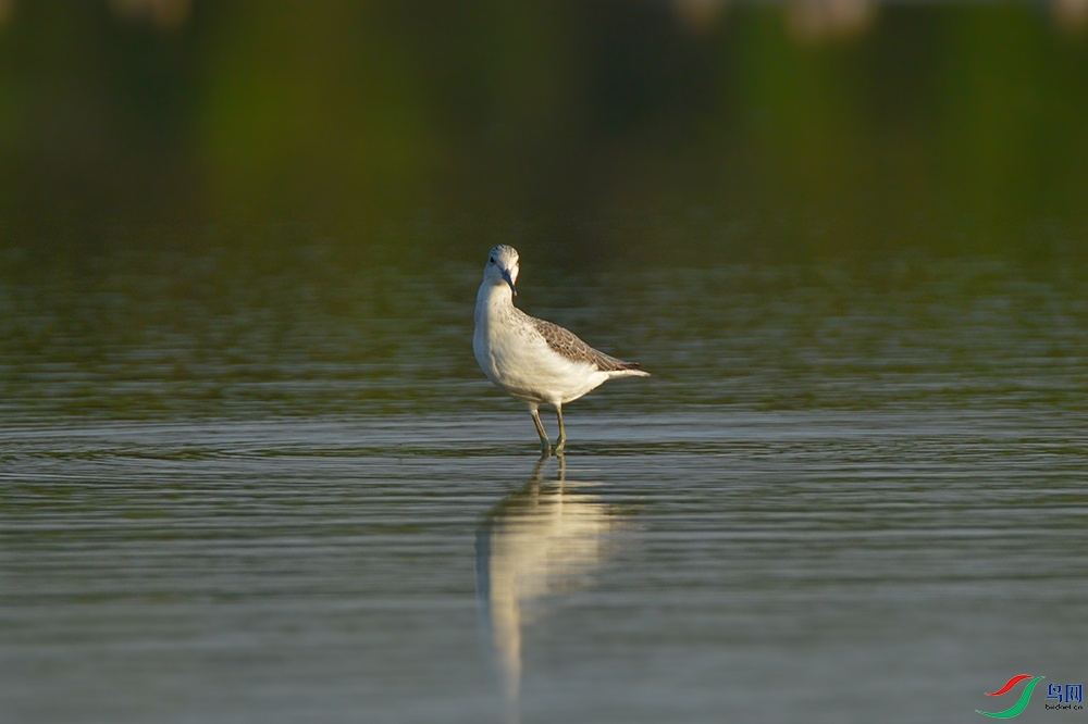 DSC_0419.jpg