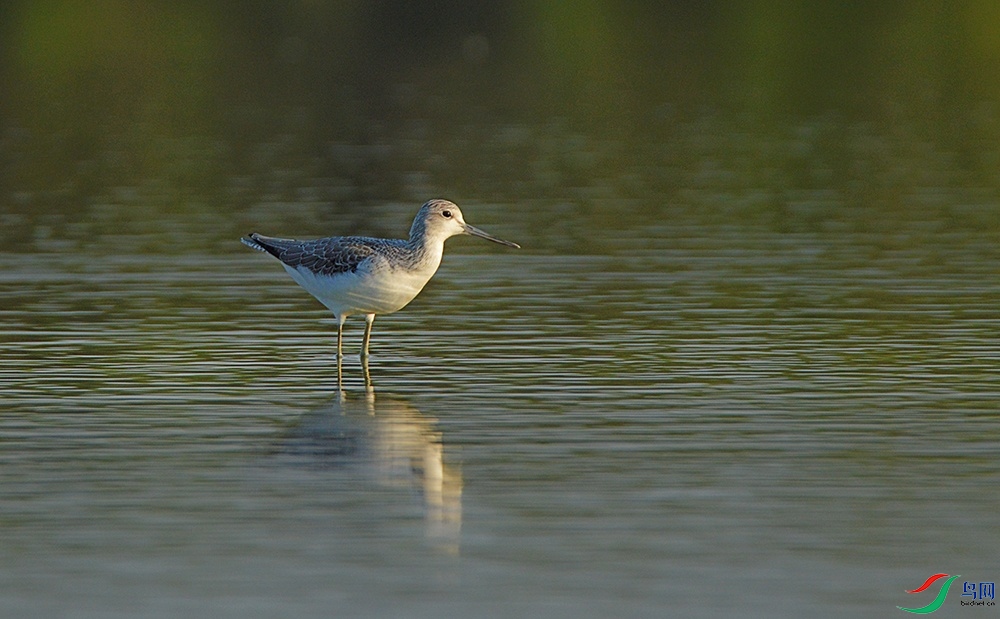 DSC_0427.jpg