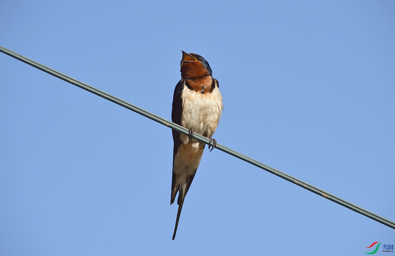 DSC_0046.jpg