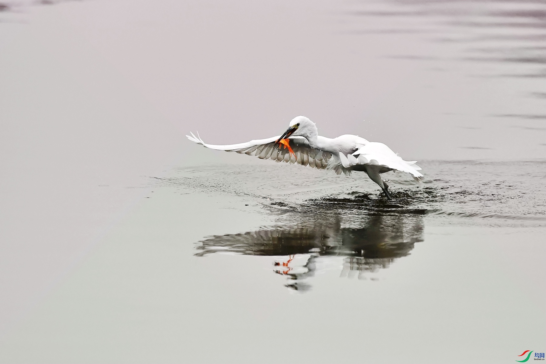 DSC_9051_����.jpg