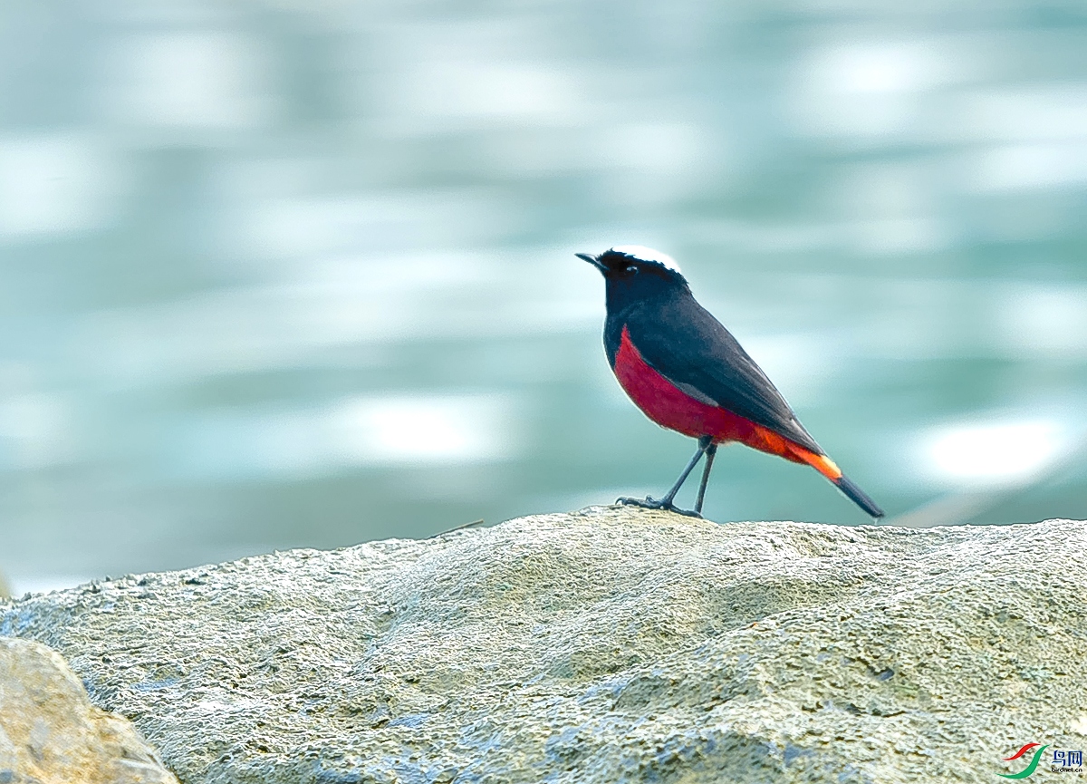 DSC_6227.JPG