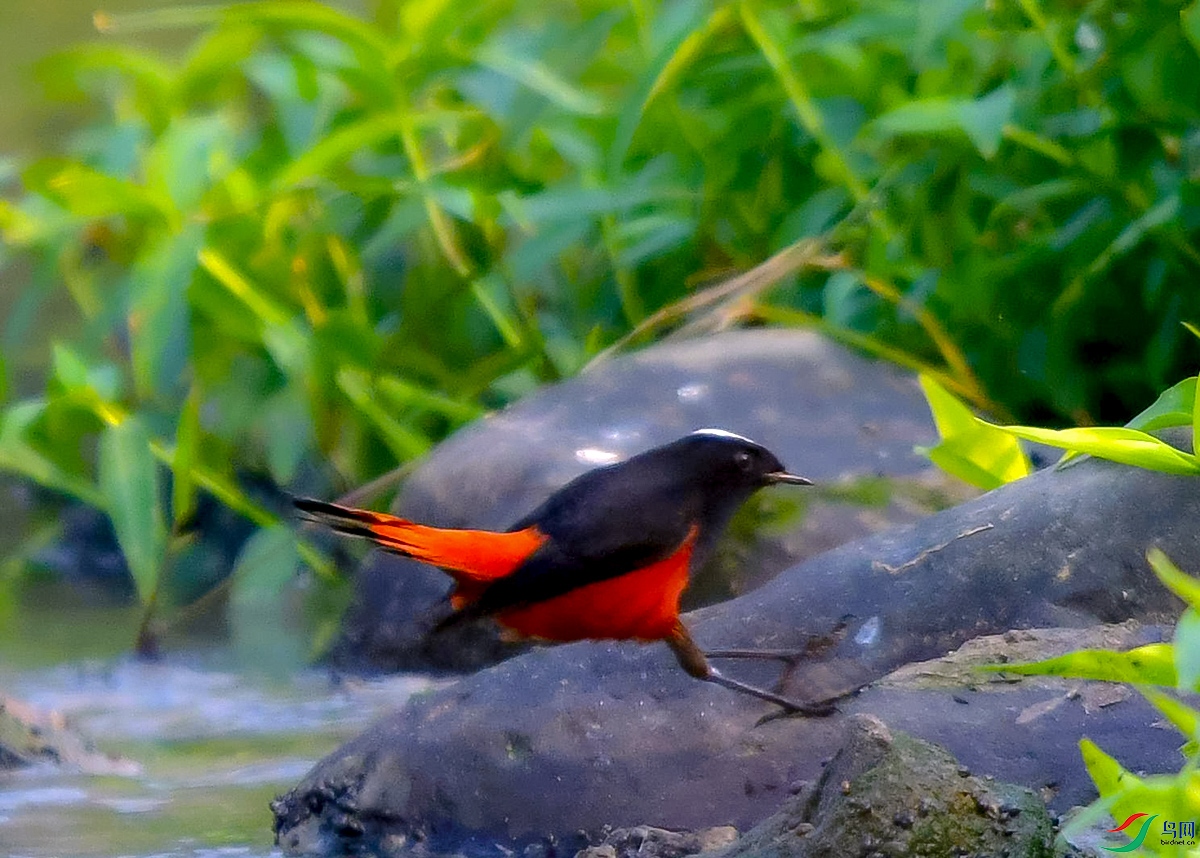 DSC_7878.JPG