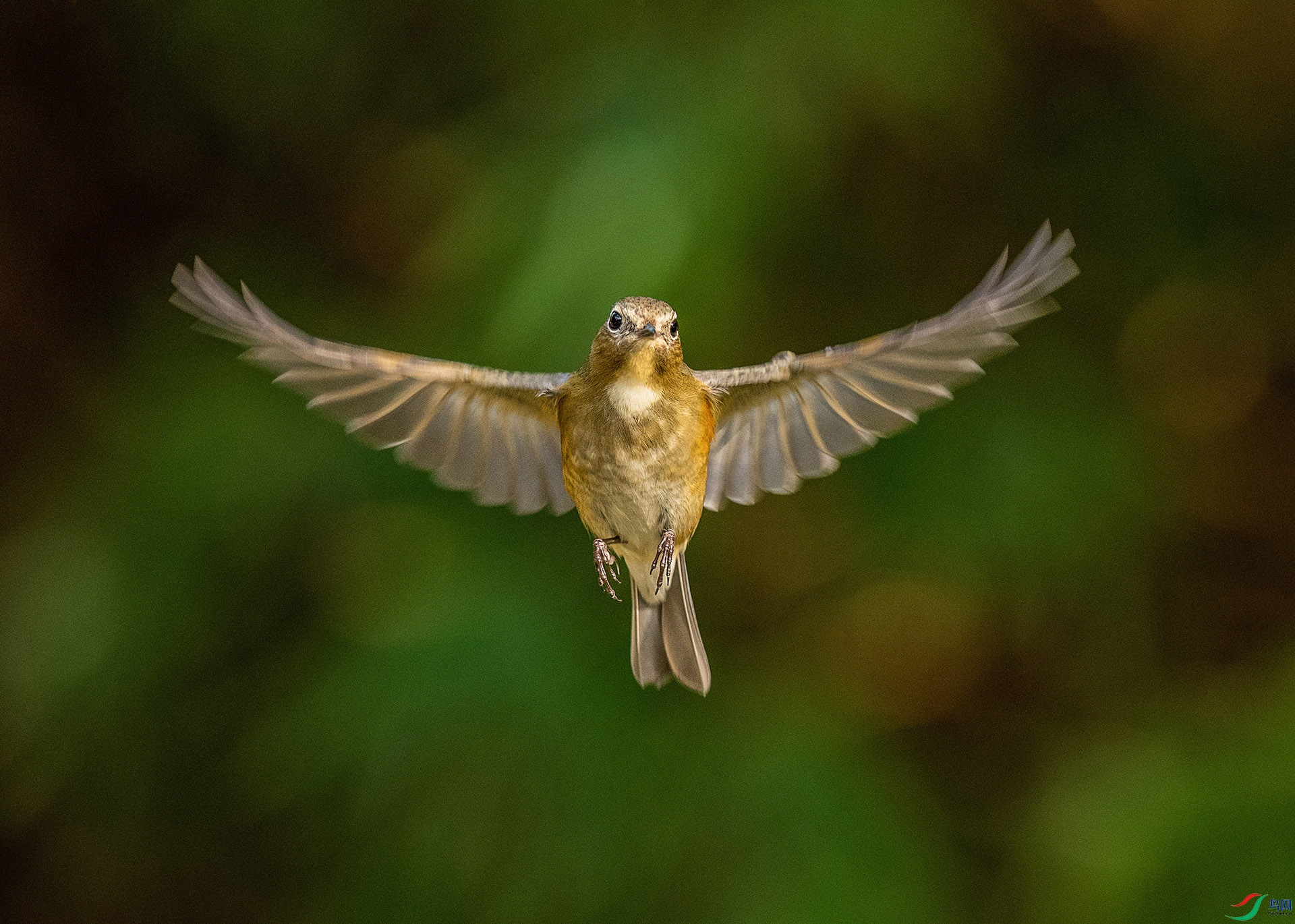 DSC_2980-1.jpg
