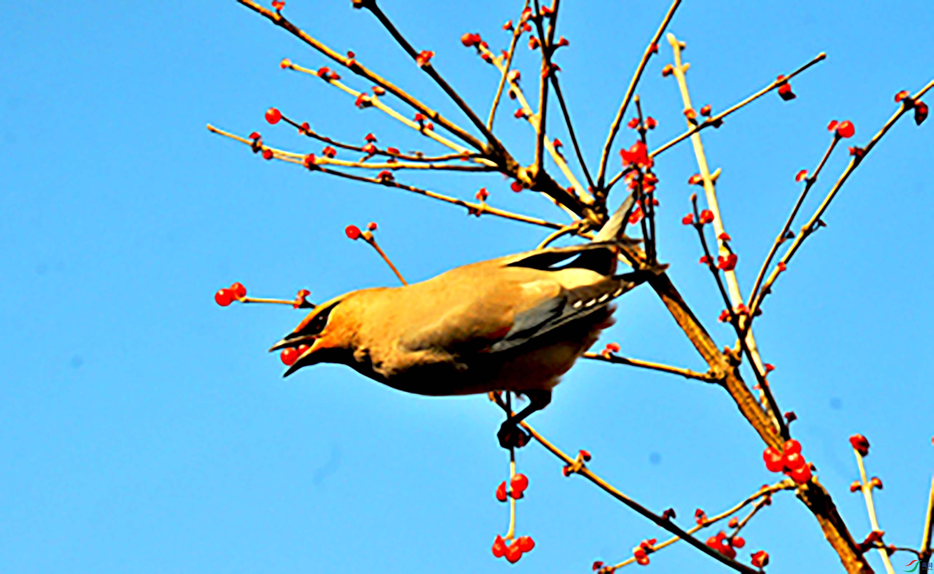 DSC_1839.JPG
