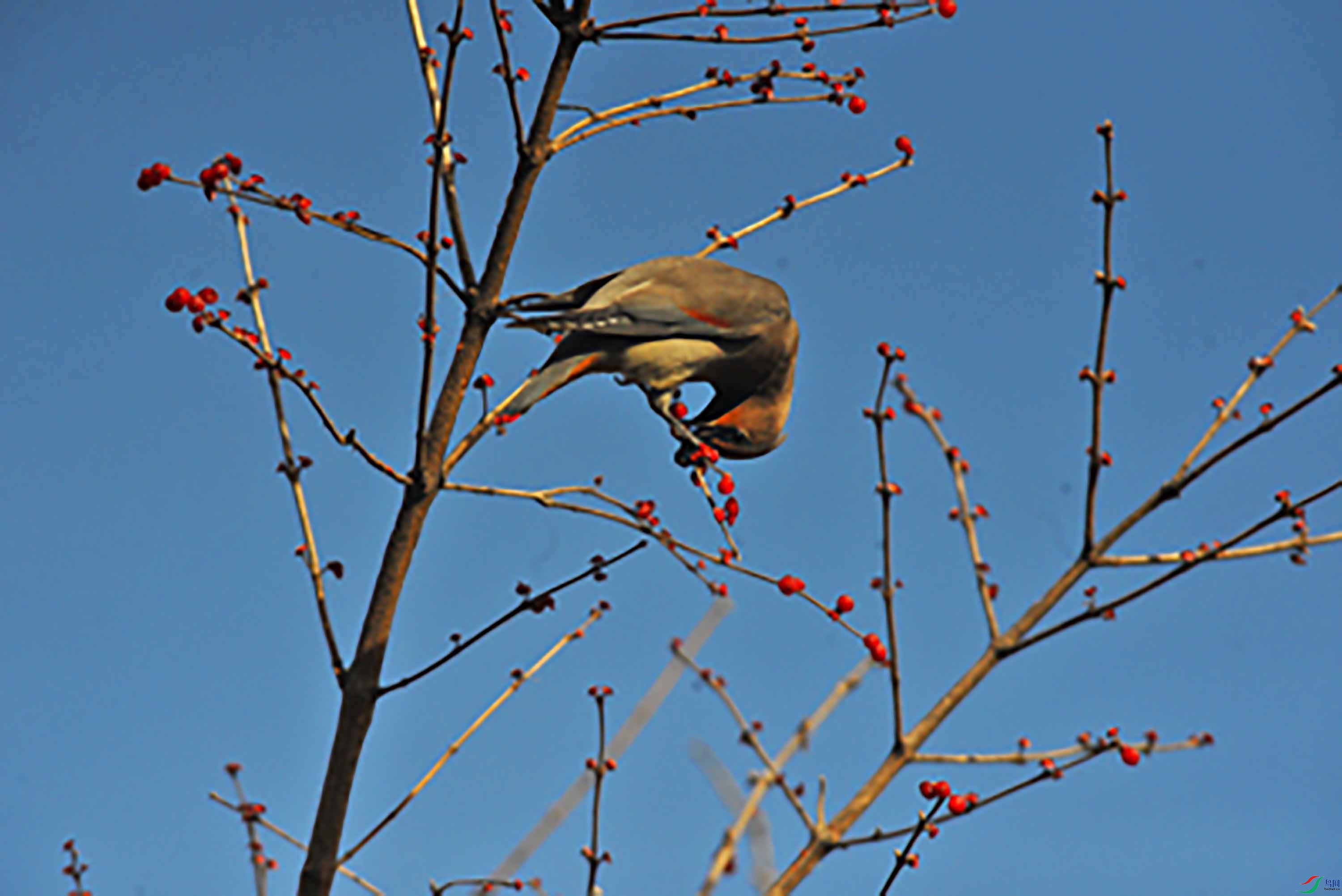 DSC_1897.JPG
